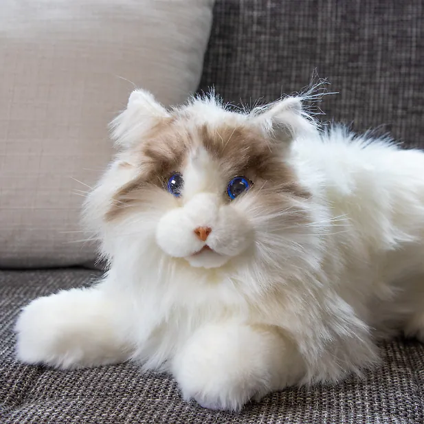 Roboter Katze liegend mit Blickrichtung nach vorne