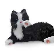 Roboter-Katze | "Schwarz-weiss" | Art. Nr. 2003, Benny