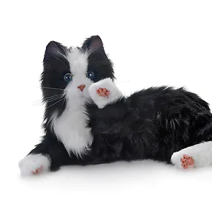 Roboter-Katze | "Schwarz-weiss" | Art. Nr. 2003, Benny