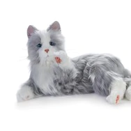 Roboter-Katze | "Grau-weiss" | Art. Nr. 2002, Shiva